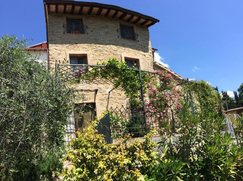 Corsanico-Bargecchia La Casina Delle Rondini 게스트하우스 외부 사진