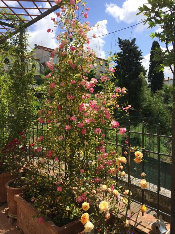 Corsanico-Bargecchia La Casina Delle Rondini 게스트하우스 외부 사진